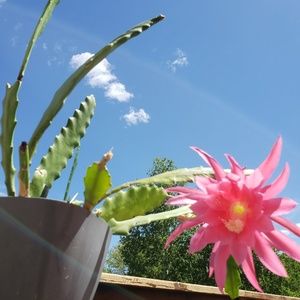 Meet your Posher, Terry